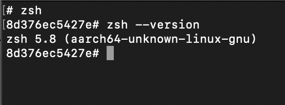 Ubuntu zsh error fix